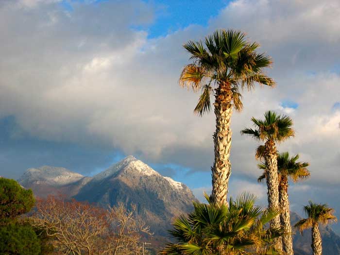 Diamante, Calabria, Italy Diamante, Calabria, Italy