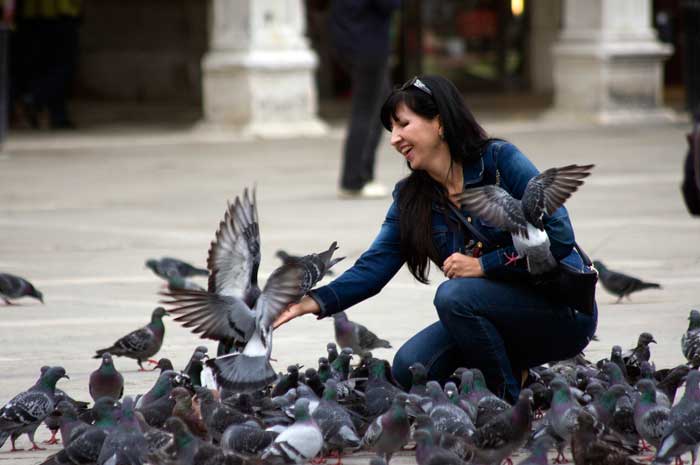 Feeding Pigeons in San Marco, Venice