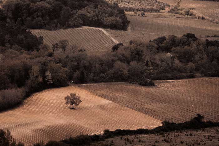 Landscape in Tuscany