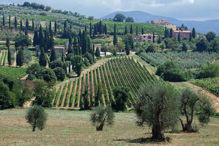 Montalcino Landscape, Tuscany