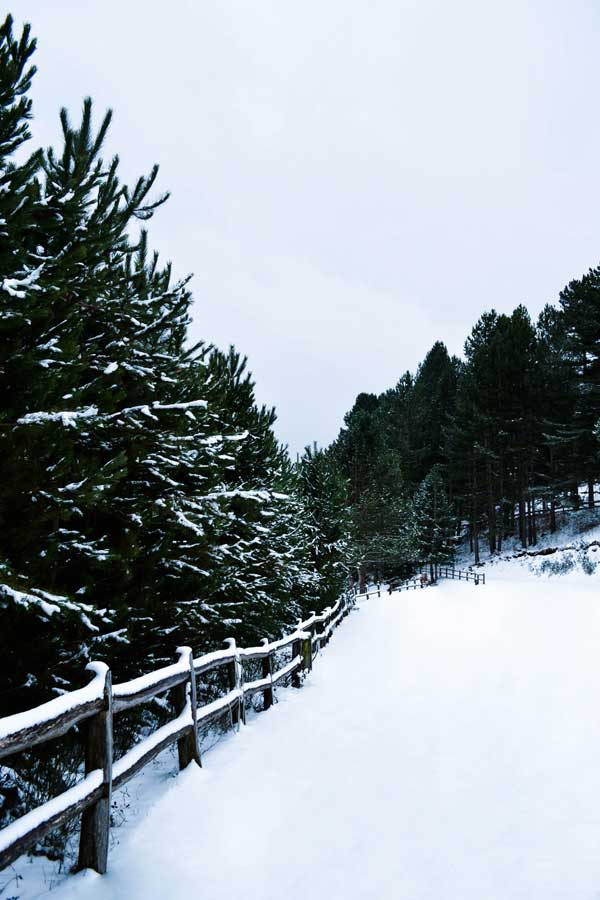 Where Is Calabria Italy Located On A Map? Check it out Now.